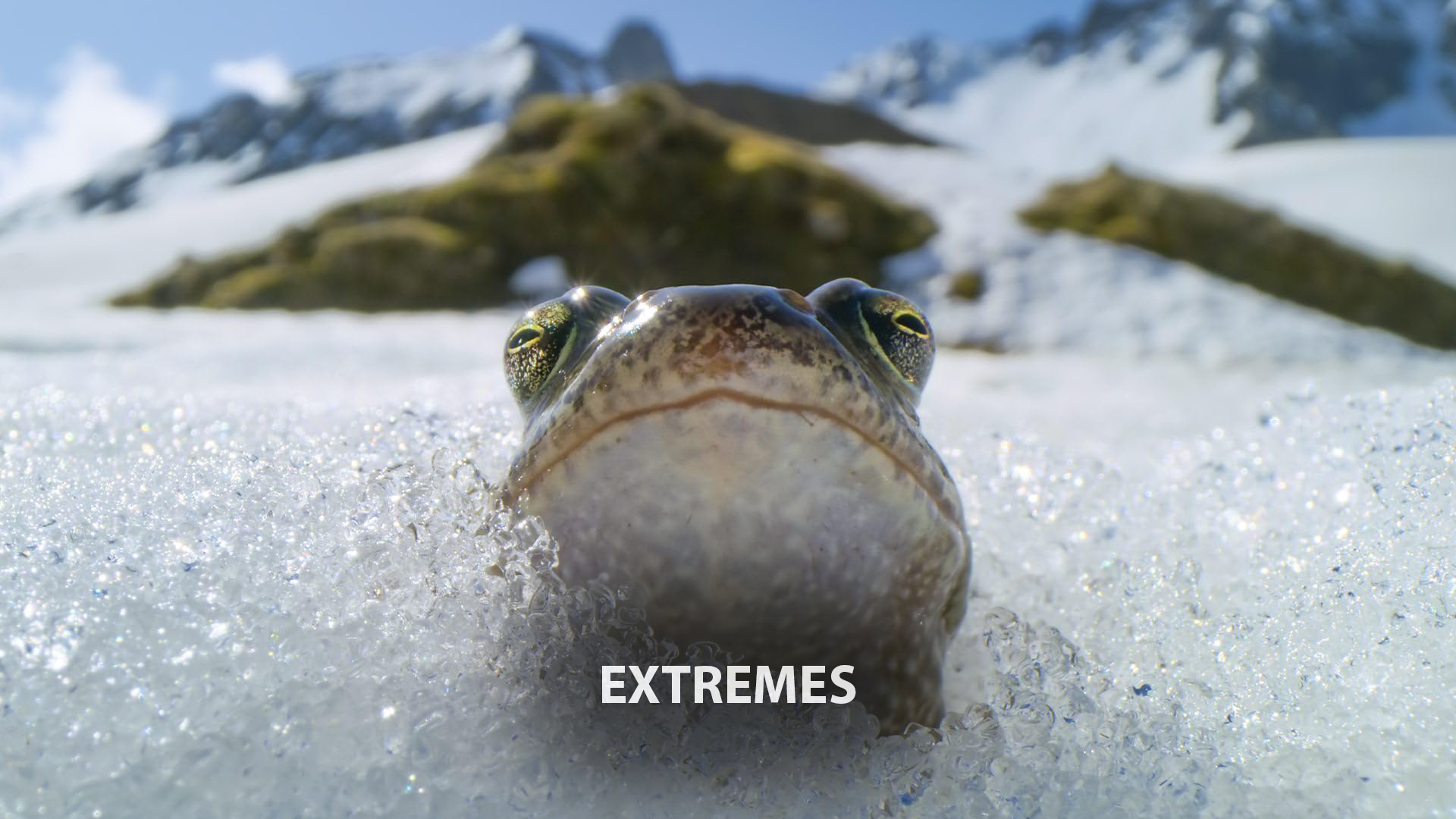 Extremes
