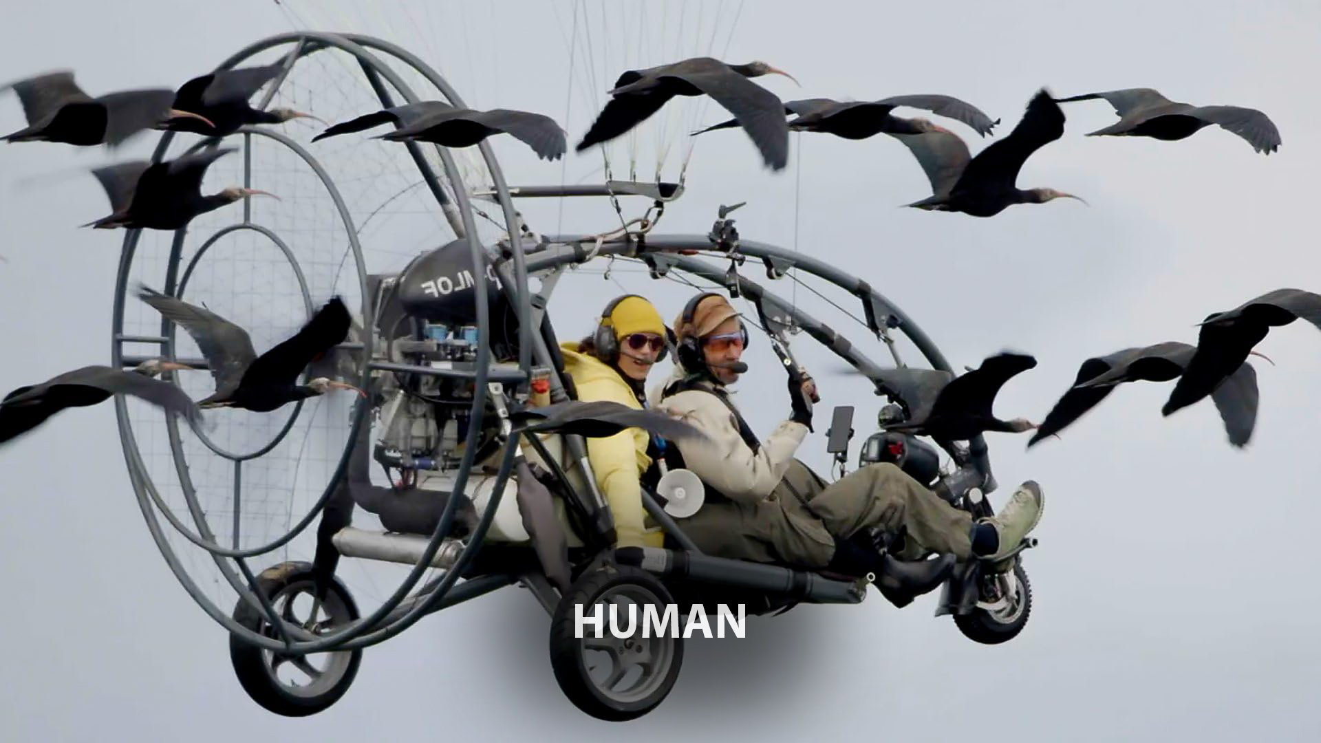 Human