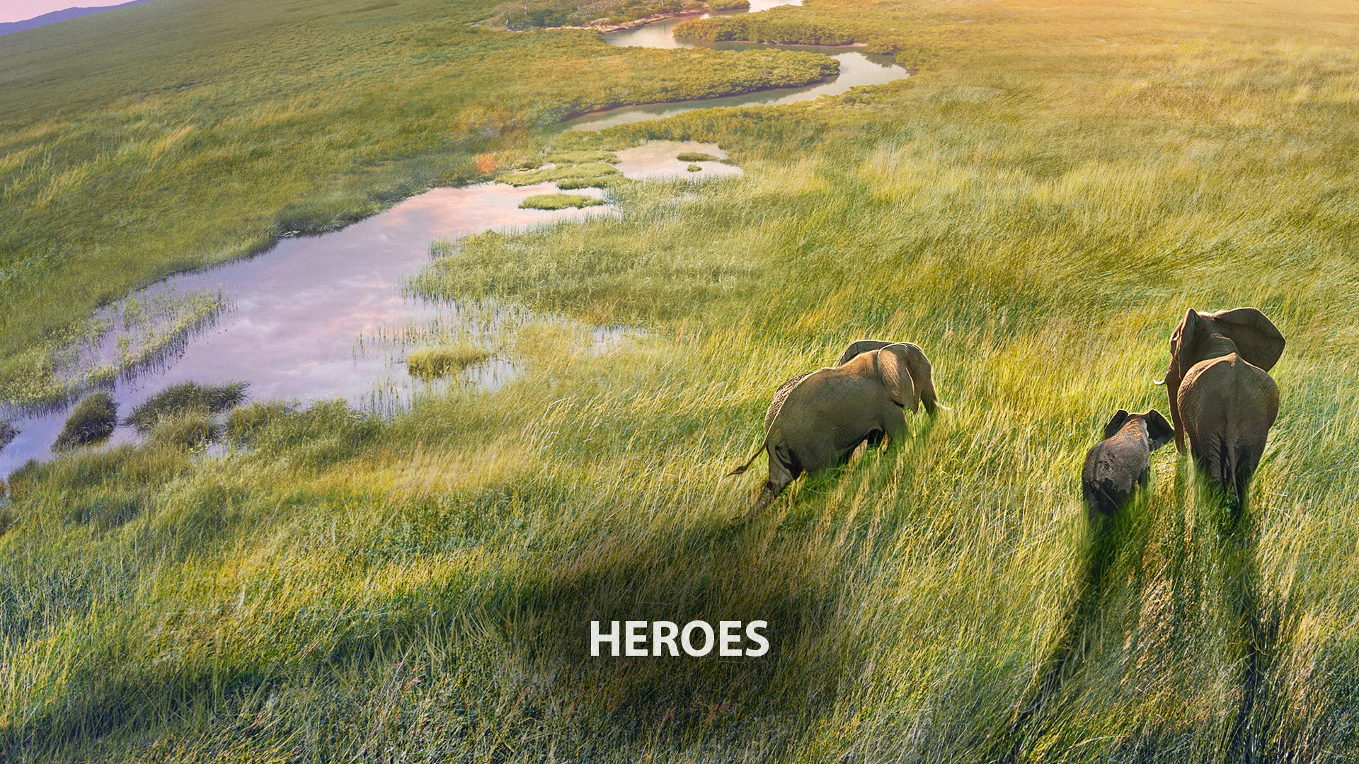 Heroes