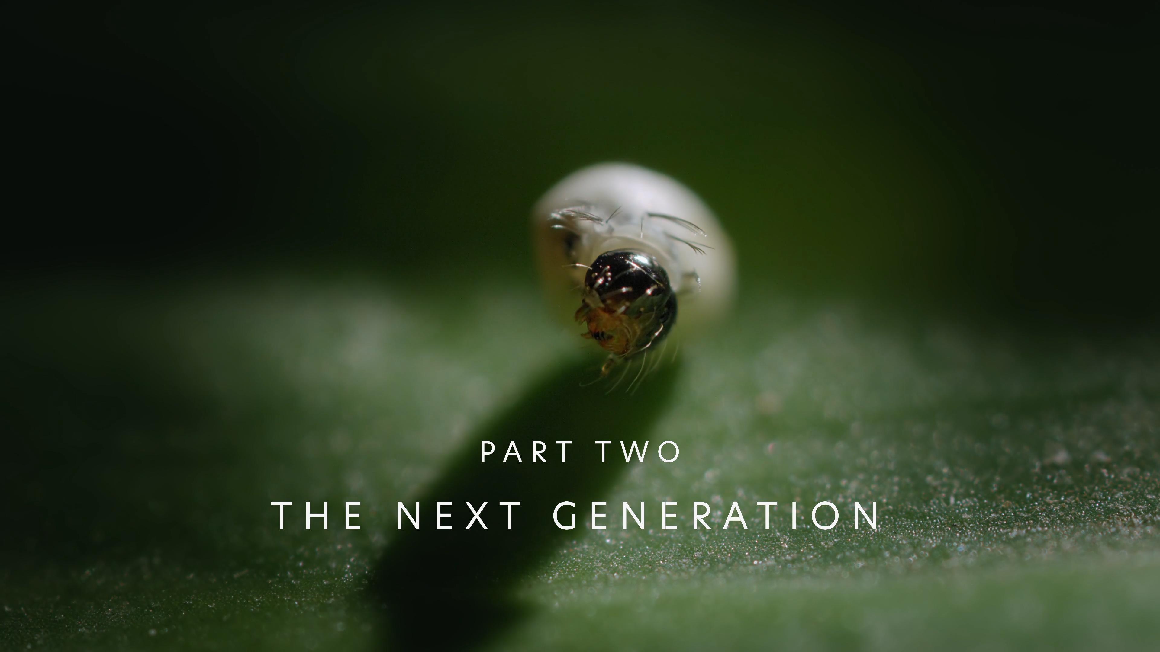 The Next Generation