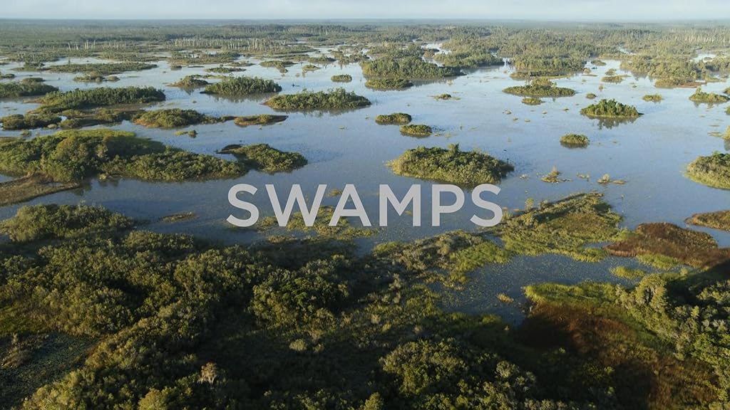 Swamps