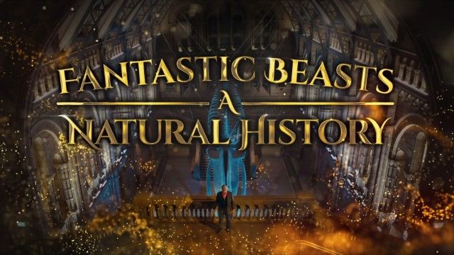 Fantastic Beasts: A Natural History