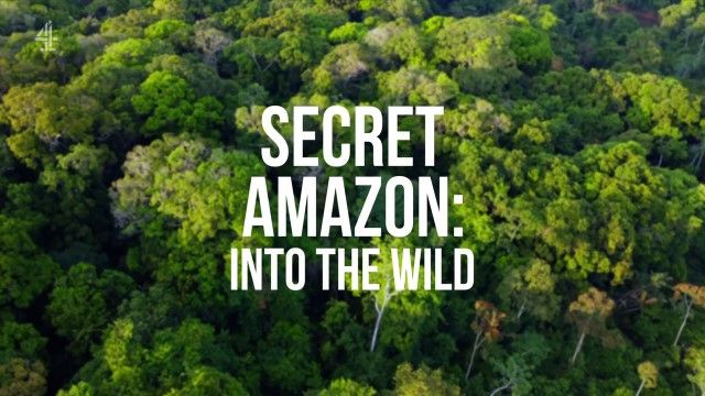 Secret Amazon: Into the Wild