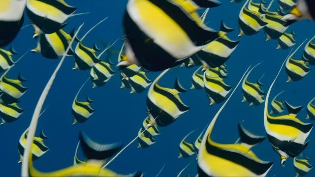 Beneath the Waves