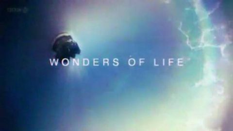 Expanding Universe
