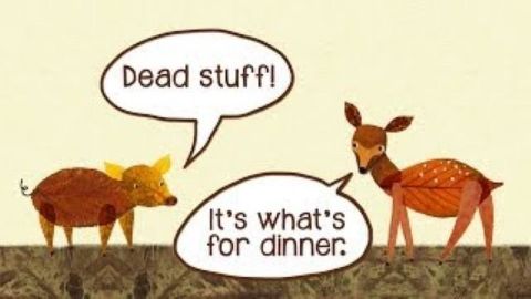 Dead stuff: The secret ingredient in our food chain