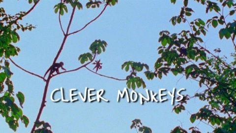 Clever Monkeys