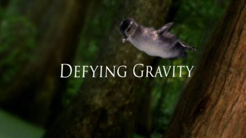 Defying Gravity