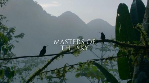 Masters of the Sky