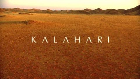 Kalahari