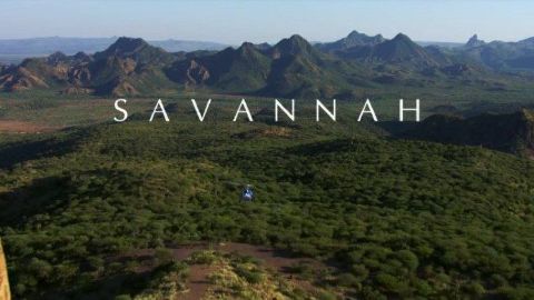 Savannah