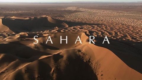 Sahara