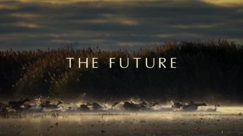 The Future