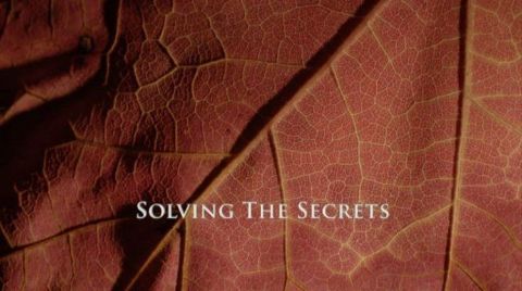 Solving the Secrets