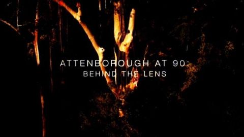 Attenborough at 90: Behind the Lens