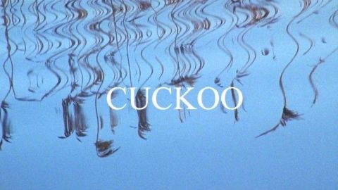 Cuckoo