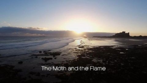 The Moth and the Flame
