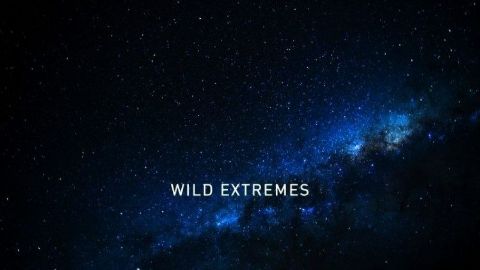 Wild Extremes