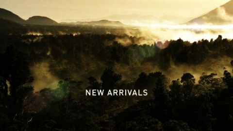 New Arrivals
