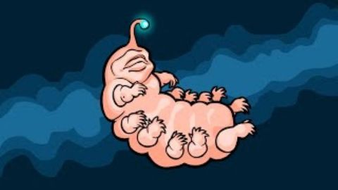 Can Science Explain the Origin of Life?