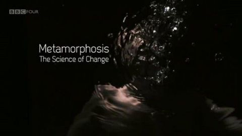 Metamorphosis: The Science of Change