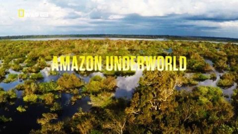 Amazon Underworld