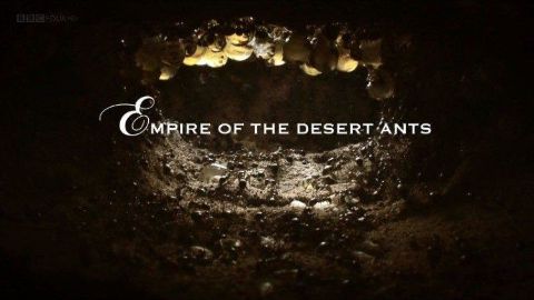 Empire of the Desert Ants