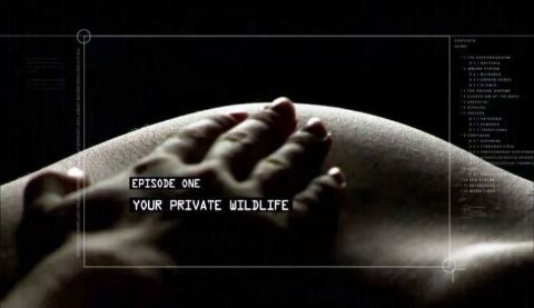 Your Private Wildlife
