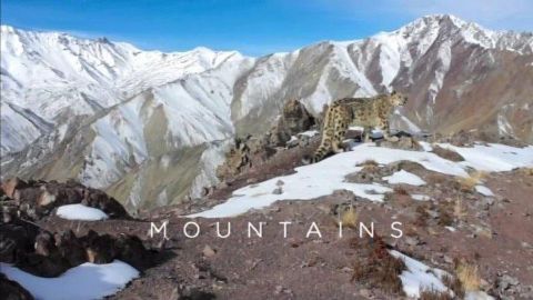 Mountains