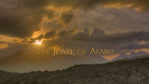 The Jewel of Arabia