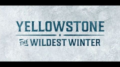 Wildest Winter