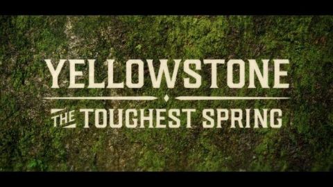 Toughest Spring