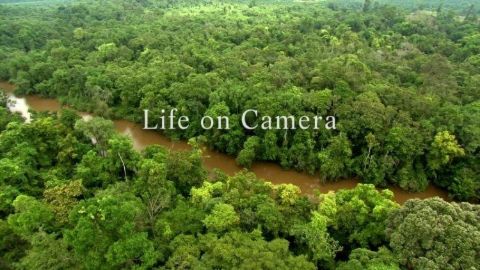 Life on Camera