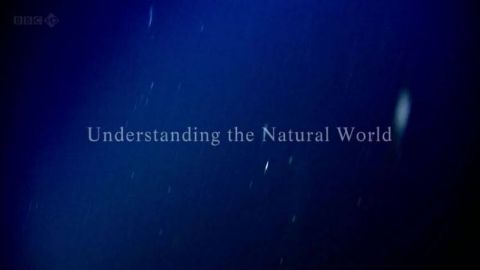 Understanding the Natural World