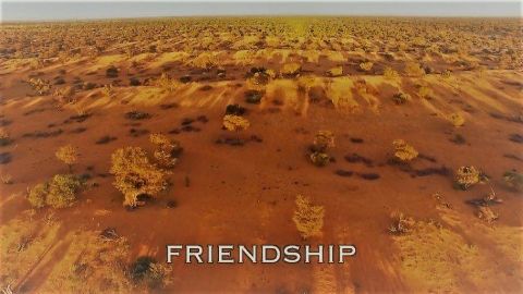 Friendship