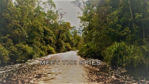 Meet the Spies