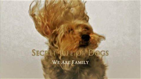 We Are Family