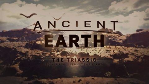 The Triassic