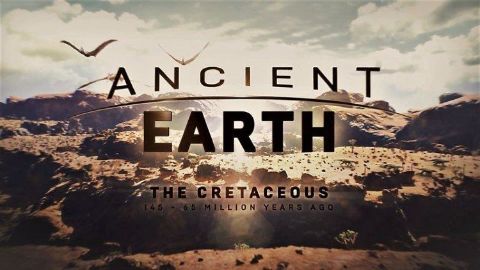 The Cretaceous