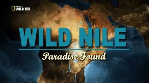 Paradise Found