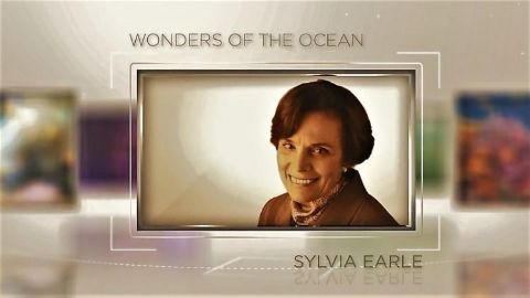Wonders of the Ocean