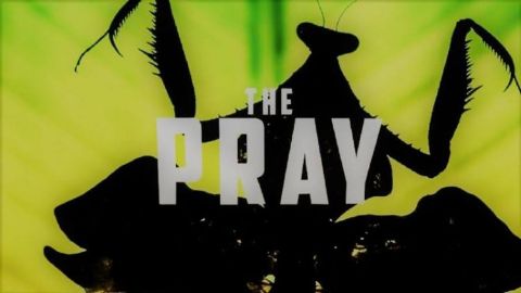 The Pray