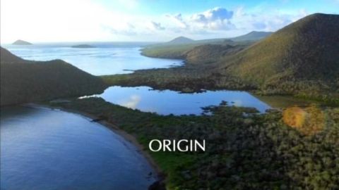 Origin