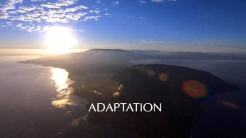 Adaptation