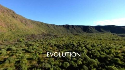 Evolution