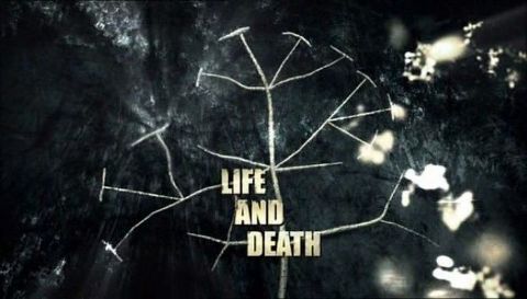 Life and Death