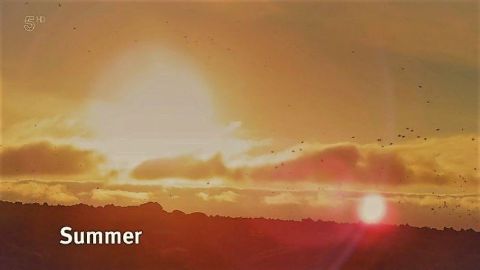 Summer