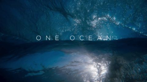 One Ocean