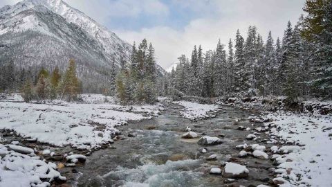 Siberia