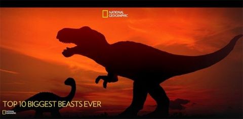 Top 10 Biggest Beasts Ever